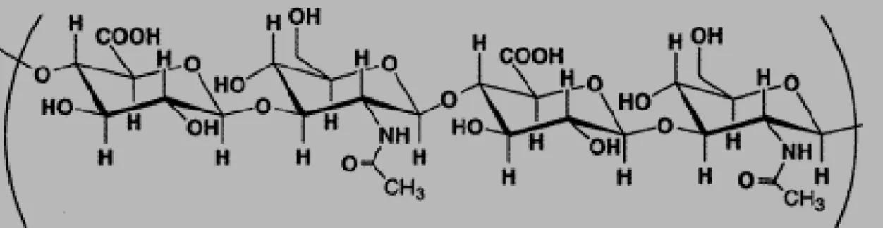 FIGURA 5 - Estrutura do ácido hialurônico. 