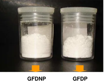 FIGURA  6  –   Amostra  de  goma  de  fava  danta  não  purificada  (GFDNP)  e  goma  de  fava  danta purificada (GFDP)