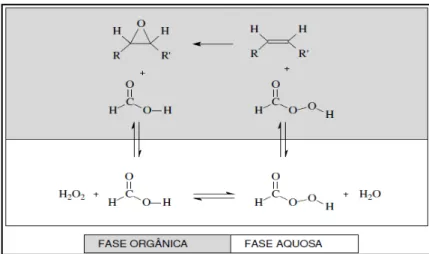 Figura 11 – Reação de epoxidação das insaturações na fase orgânica, com a geração de perácido fórmico na fase  aquosa