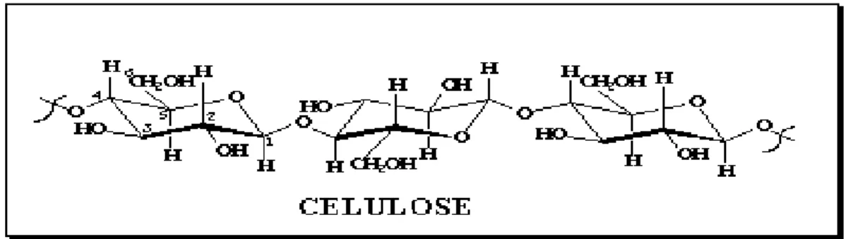 Figura  2.9:  Estrutura  da  celulose  formada  a  partir  da  ß-D-glucopiranose,  destacando  a  unidade  repetitiva  básica (celobiose) e os terminais redutores e não redutores, (GURGEL, 2007)