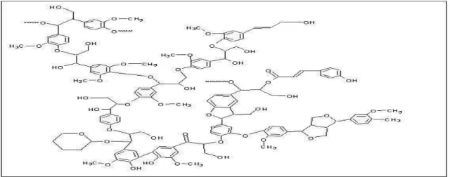 Figura 2.12: Estrutura Geral da Lignina (Reproduzida com permissão de “ Real-World Cases in Green  Chemistry ”, direitos de reprodução em β000 da American Chemical Society)