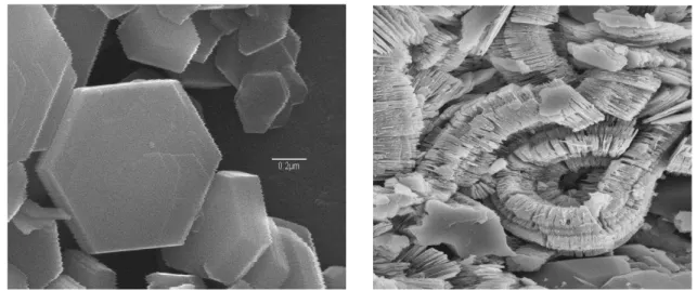 Figura 2.21: Visualização de cristais de caulinita em microscópio eletrônico de  Varredura, (WYPYCH e SATYANARAYANA, 2004)