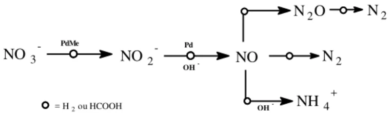 Figura 1.1: Esquema geral do processo de redução catalítica de íons nitrato 22 .  