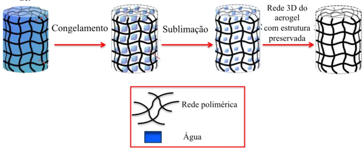 Figura 9 – Representação esquemática do processo de criossecagem/liofilização de um gel  para obtenção de um aerogel