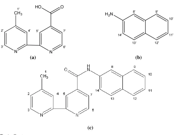 Figura 14. Numeração dos átomos de hidrogênio dos compostos: mbpy-OH (a); 2-aminonaftaleno (b); mbpy-naf  (c)