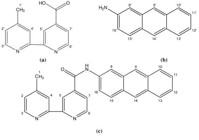 Figura 17. Numeração dos átomos de hidrogênio dos compostos: mbpy-OH (a); 2-aminoantraceno (b); mbpy- mbpy-ant (c)