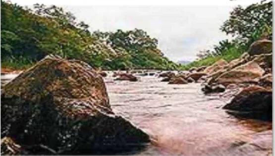 Figura 1: Rio Cubatão  