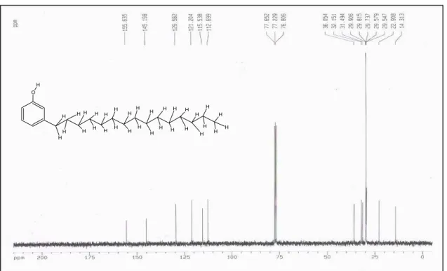 Figura 19: Espectro de RMNuclear  13 C do 3-n-PDF, em clorofórmio deuterado.  