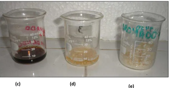 Figura 21. Produtos reacionais obtidos da reação do composto 1: (c) Produto após reação; (d)  Produto Purificado (óleo) com solvente; (e) Produto Purificado (sólido branco), após 