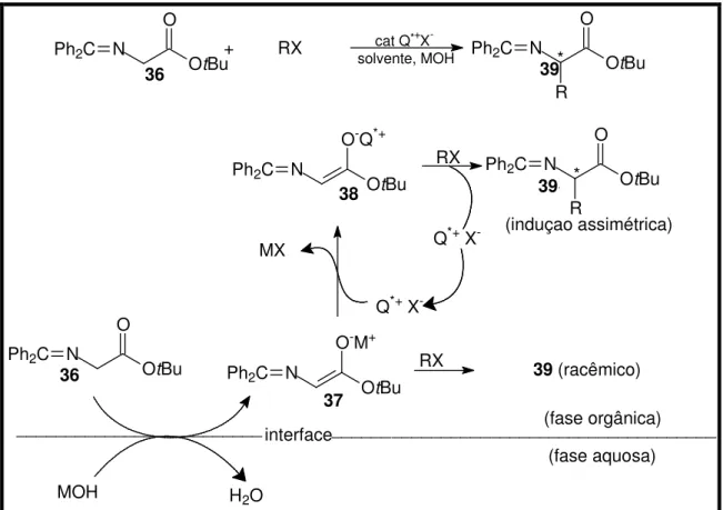 Figura  5:  Mecanismo  geral  para  a  alquilação  assimétrica  de  compostos  metilênicos ativos, com uma base de Schiff usada como exemplo