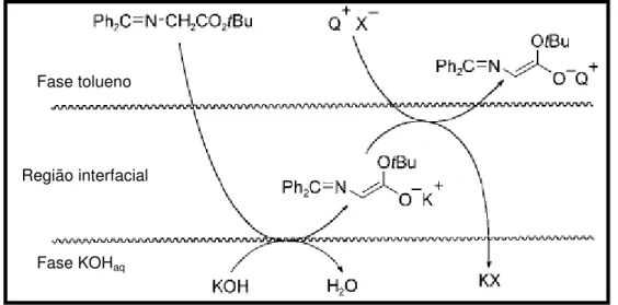 Figura 15: Proposta mecanística para a geração de enolato de amônio quiral. 