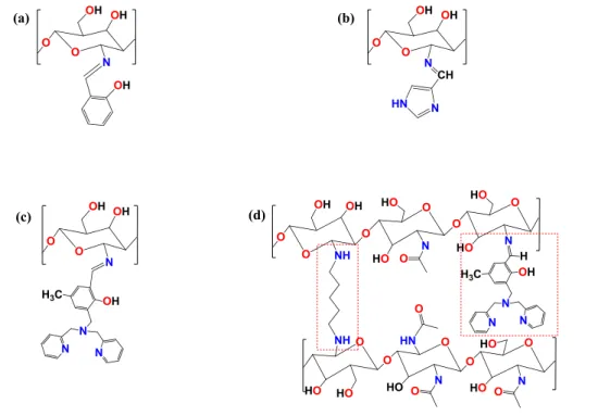 Figura  2.8:  Quitosana  modificada  com  hidroxibenzaldeído  (a),  imidazolcarboxaldeído  (b),  2-[bis- 2-[bis-(piridilmetil)aminometil]-4-metil-6-formil-fenol  (c),  quitosana  reticulada  com  glutaraldeído  e  funcionalizada com  2-[bis-(piridilmetil)a