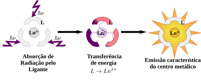 Figura 2.2: Esquema ilustrativo do efeito antena em complexos de íons Ln(III). [19]