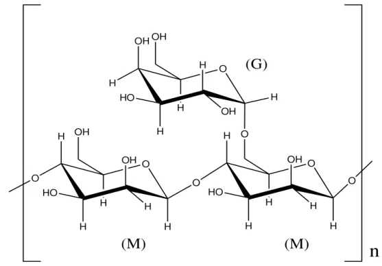 Figura 1 - Estrutura química parcial das galactomananas, manose (M) e galactose (G).  OH O HHO OH HHHOH OHOHHOOH HHH OOOOHHHHOHHOHHOH (M) (M) n(G) Fonte: Autor