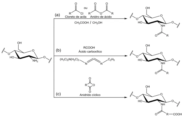 Figura 17  –  N-acilação química da quitosana usando (a) cloreto de acila ou anidrido de cadeia linear,  (b) ácido carboxílico na presença de 1-etil-3-(3-dimetilaminopropil)carbodiimida (EDC) e (c) anidrido de  cadeia cíclica