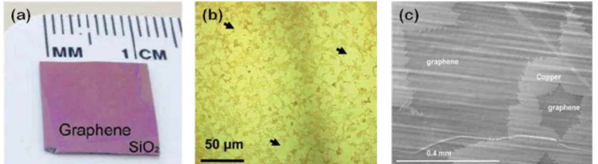 Figura 15  –  Imagens de filmes finos de grafeno sintetizado pelo método CVD em (a) substrato de Si/SiO 2 ; (b)  sobre  filme  fino  de  Ni  e  (c)  sobre  folha  de  cobre