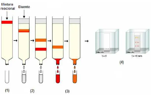 Figura 3.6: Cromatografia em sílica gel 60 para separação dos componentes reacionais. 