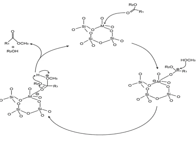Figura 14. Mecanismo de reação para uma catálise heterogênea ácida. 