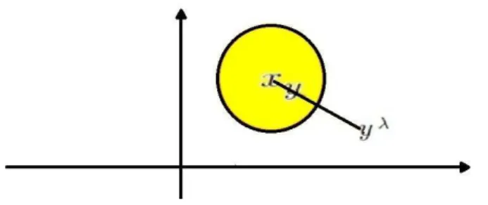 Figura 2.1: Reflexão do ponto y em relação à esfera B λ (x).