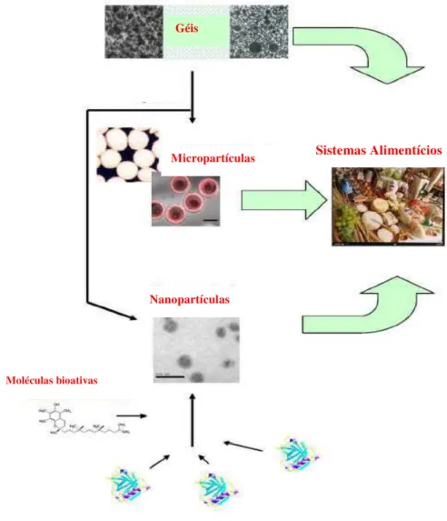 Figura  1  -  Representação  esquemática  de  materiais  baseados  em  alimentos  como sistemas de entrega de nutracêuticos (Chen e col., 2006)