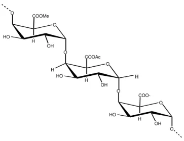 Figura 5 – Estrutura de um fragmento de pectina (HG). 