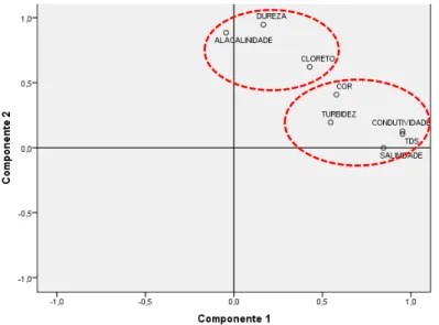 Figura 13 - Cargas dos componentes com rotação ortogonal pelo método Varimax 