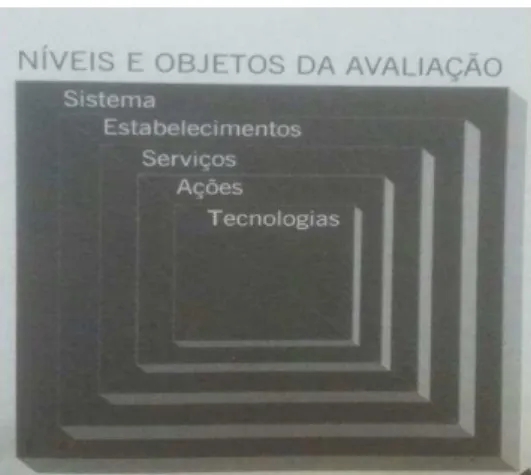 Figura 1  –  Níveis e objetos da avaliação em saúde                              