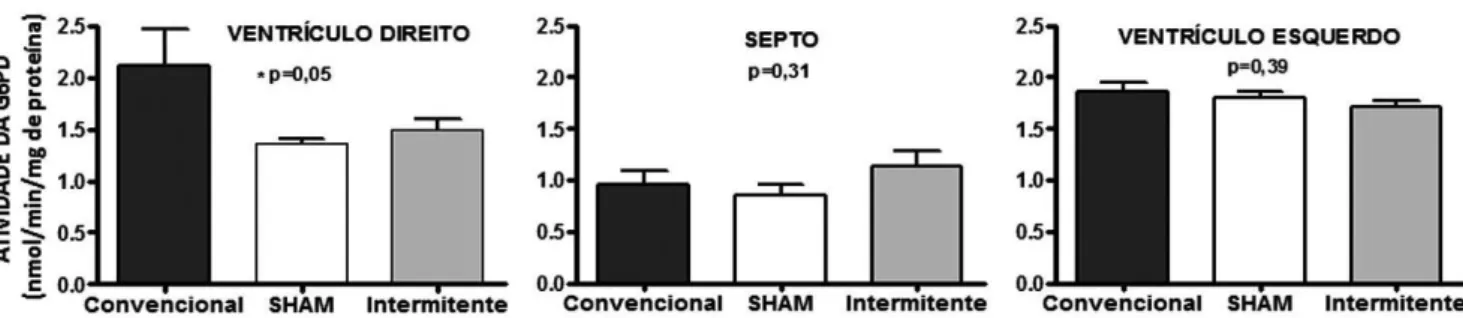 Tabela 1. Peso das massas cardíacas de ventrículo direito (VD),  septo interventricular (SIV) e ventrículo esquerdo  (VE), normalizadas pelo peso dos animais dos grupos  convencional, sham e intermitente.
