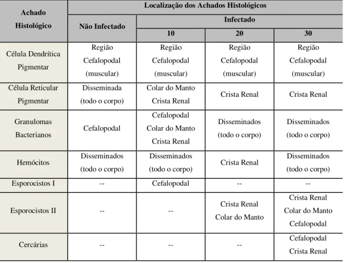 Tabela  1:  Localização  dos  achados  histológicos  em  molusco  não  infectado  e  moluscos  infectados  nos  três  períodos analisados