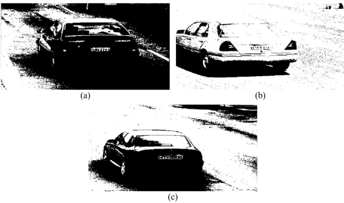 Figura 2.8: imagens realçadas binarizadas com limiar fixo. 