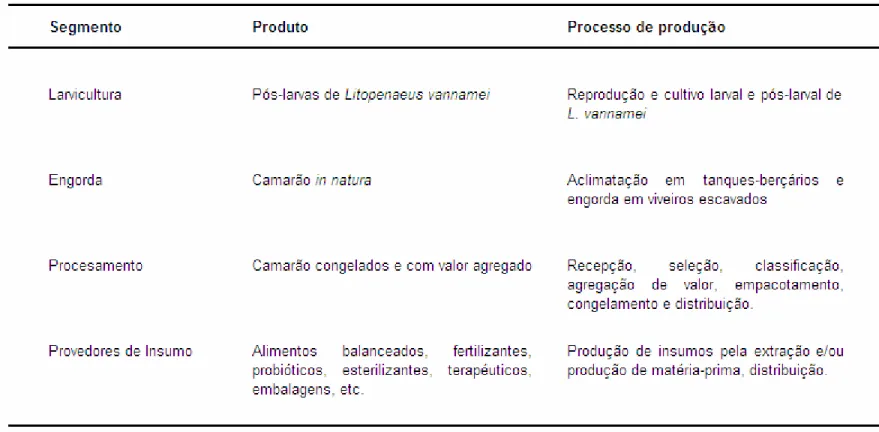 Tabela 5: Caracterização dos segmentos da cadeia produtiva do camarão marinho cultivado