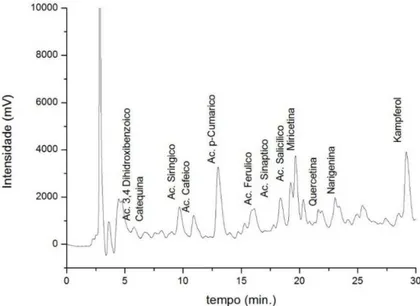 Fig. 3. Cromatograma do perfil dos compostos fenólicos do óleo de chia (Salvia hispanica L.)  brasileira  