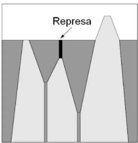 Figura 2.4: perfil de inunda¸c˜ao das bacias de capta¸c˜ao com a represa ( PRATT , 2001).
