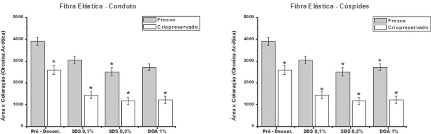 Fig. 2 - À esquerda: análise qualitativa da matriz extracelular de cúspides pulmonares submetidas a processo de descelularização