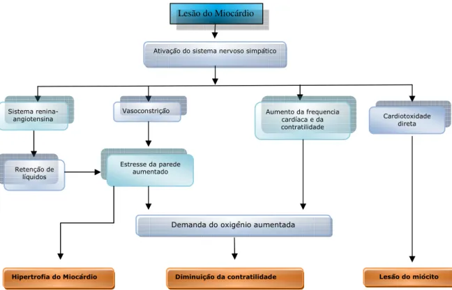 Figura 2: Diagrama da ativação Simpática na Insuficiência Cardíaca Congestiva.  