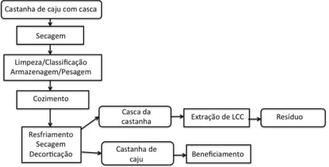 Figura 5. Fluxograma simplificado do beneficiamento da castanha de caju. 