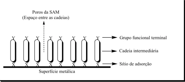 Figura 02 - Desenho esquemático mostrando o processo de adsorção de uma molécula  surfactante sobre uma superfície metálica