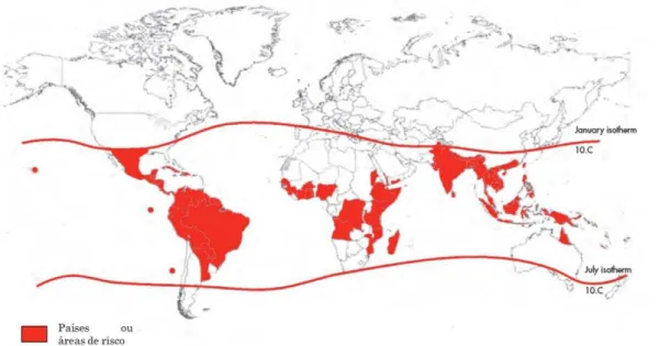 Figura 1. Áreas com risco de transmissão de dengue, 2009 (WHO, 2009). 
