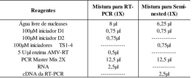 Tabela 2 - Reagentes utilizados na transcrição reversa seguida pela reação em cadeia pela polimerase (RT-PCR).