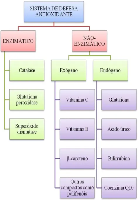 Figura 2  –  Sistema de defesa antioxidante 