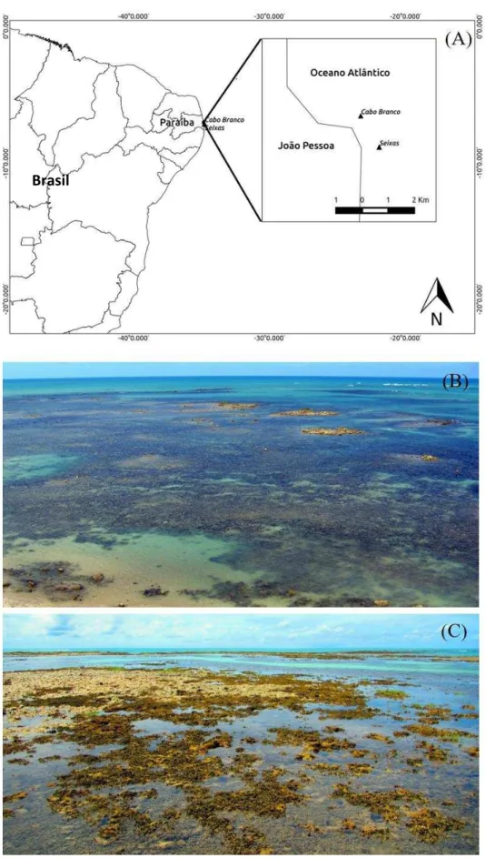 Figura  3.  Mapa  da  área  de  estudo.  (A)  Localização  dos  recifes  das  praias  do  Cabo  Branco  e  Seixas, João Pessoa, Paraíba