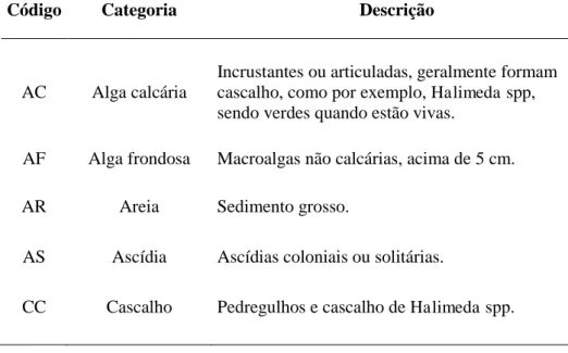 Tabela  2.  Atividades  observadas  para  a  espécie  Anisotremus  moricandi  durante  os  censos  visuais  realizados nos recifes das praias do Cabo Branco e Seixas, João Pessoa, Paraíba