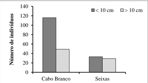 Figura 6. Número de indivíduos de acordo com as classes de tamanho da espécie Anisotremus moricandi  nos recifes das praias do Cabo Branco e do Seixas, João Pessoa, Paraíba