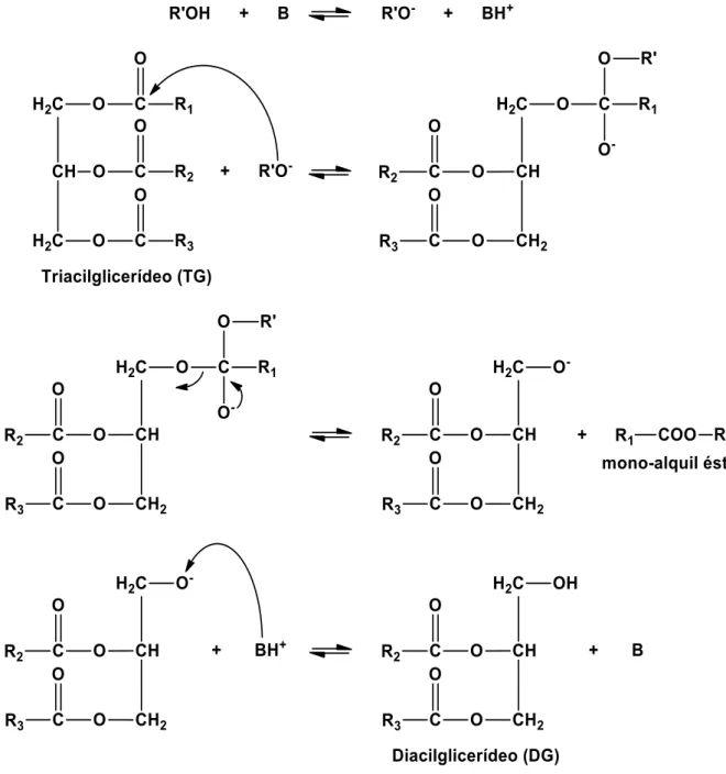 Figura 2.8 – Mecanismo de reação para a transesterificação homogênea catalisada por uma base 