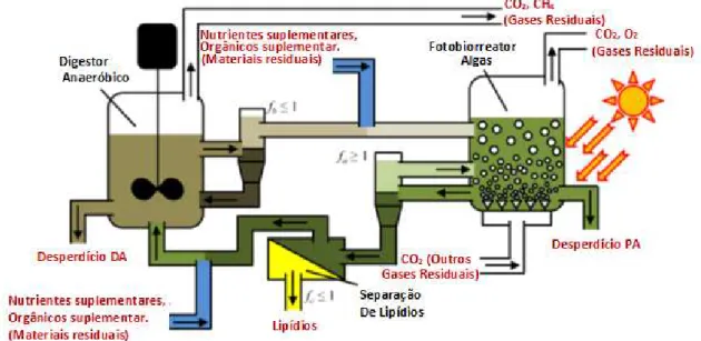 Figura 7   –  Fluxograma conceitual do processo de cultivo de microalgas  combinado com a  digestão anaeróbica 