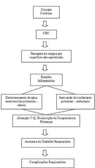 Fig. 2 - Alterações decorrentes a circulação extracorpórea