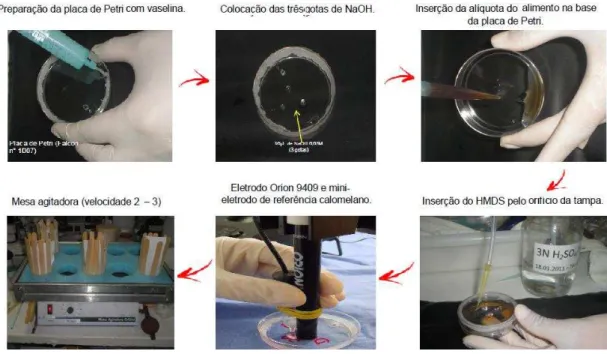 FIGURA 7: Protocolo de preparação de placas para análise pela técnica do  HMDS