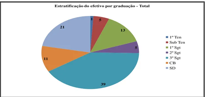 GRÁFICO 2 - Estratificação do efetivo por graduação.