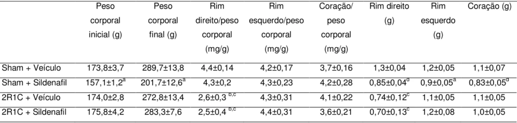 Tabela 1: Valores de peso corporal e peso dos órgãos nos diferentes grupos  Peso  corporal  inicial (g) Peso  corporal final (g) Rim  direito/peso corporal  (mg/g) Rim  esquerdo/peso corporal (mg/g) Coração/ peso corporal (mg/g) Rim direito (g) Rim  esquer