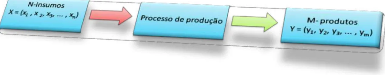 Figura 01. Processo de produção com múltiplos outputs (produtos) e múltiplos inputs (insumos)